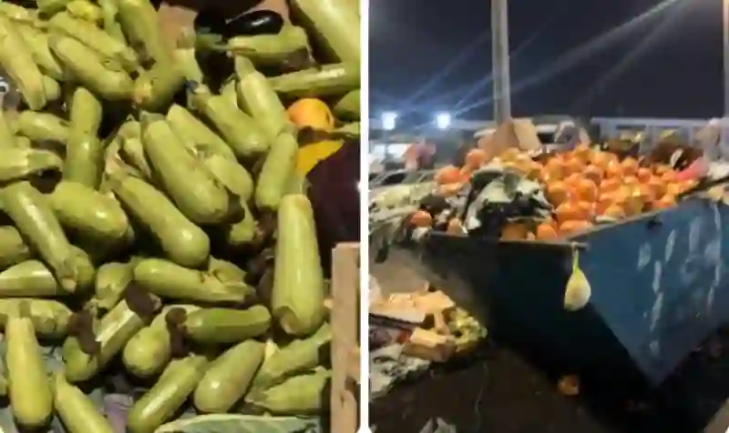  مواطن سعودي يوثق لحظة رمي كمية طعام كبيرة تكفي لاطعام قرية